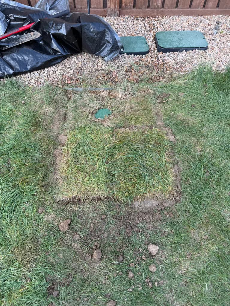 After: completed sewer cleanout with sod replaced and access lid flush with lawn — Oopsie Daisy Plumbing Northern Colorado